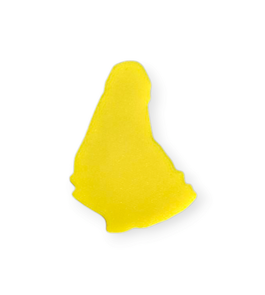 3D Printed Charm - Barbados