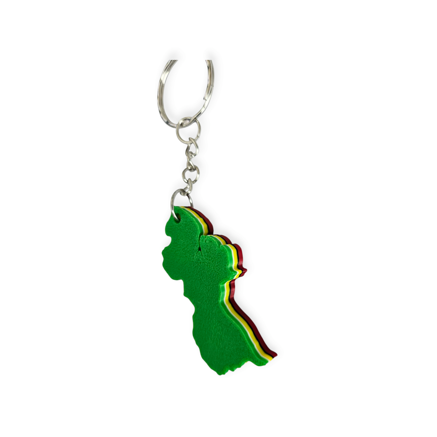 3D Printed Island Shaped Keychain - Guyana